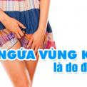 ngua-vung-kin-nguyen-nhan-do-dau